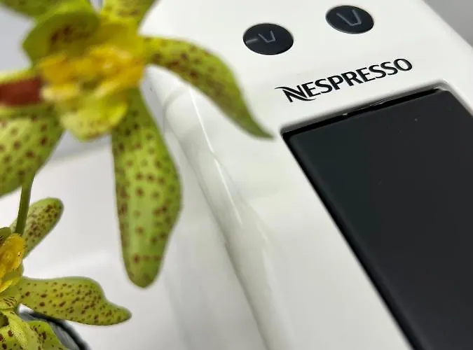 Byobu Apartment, By Bolhao Residences Apartment *