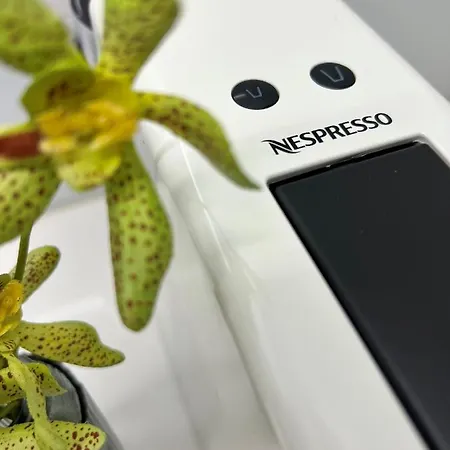 Byobu Apartment, By Bolhão Residences Apartamento *